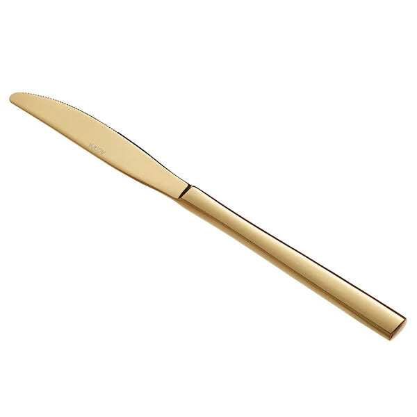 Gold Stainless Steel Dinner Knife