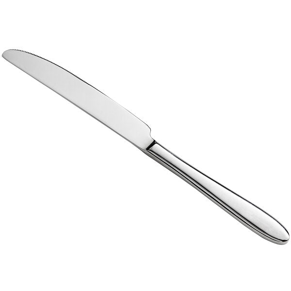 Silver Stainless Steel Dinner Knife