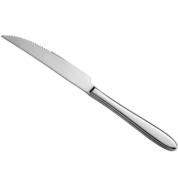 Silver Stainless Steel Steak Knife