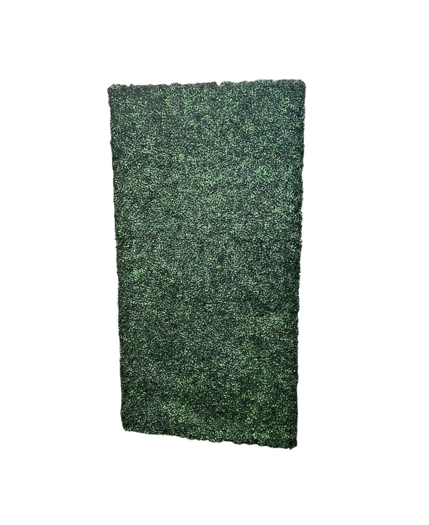 Greenery Wall - 4x8 Rental