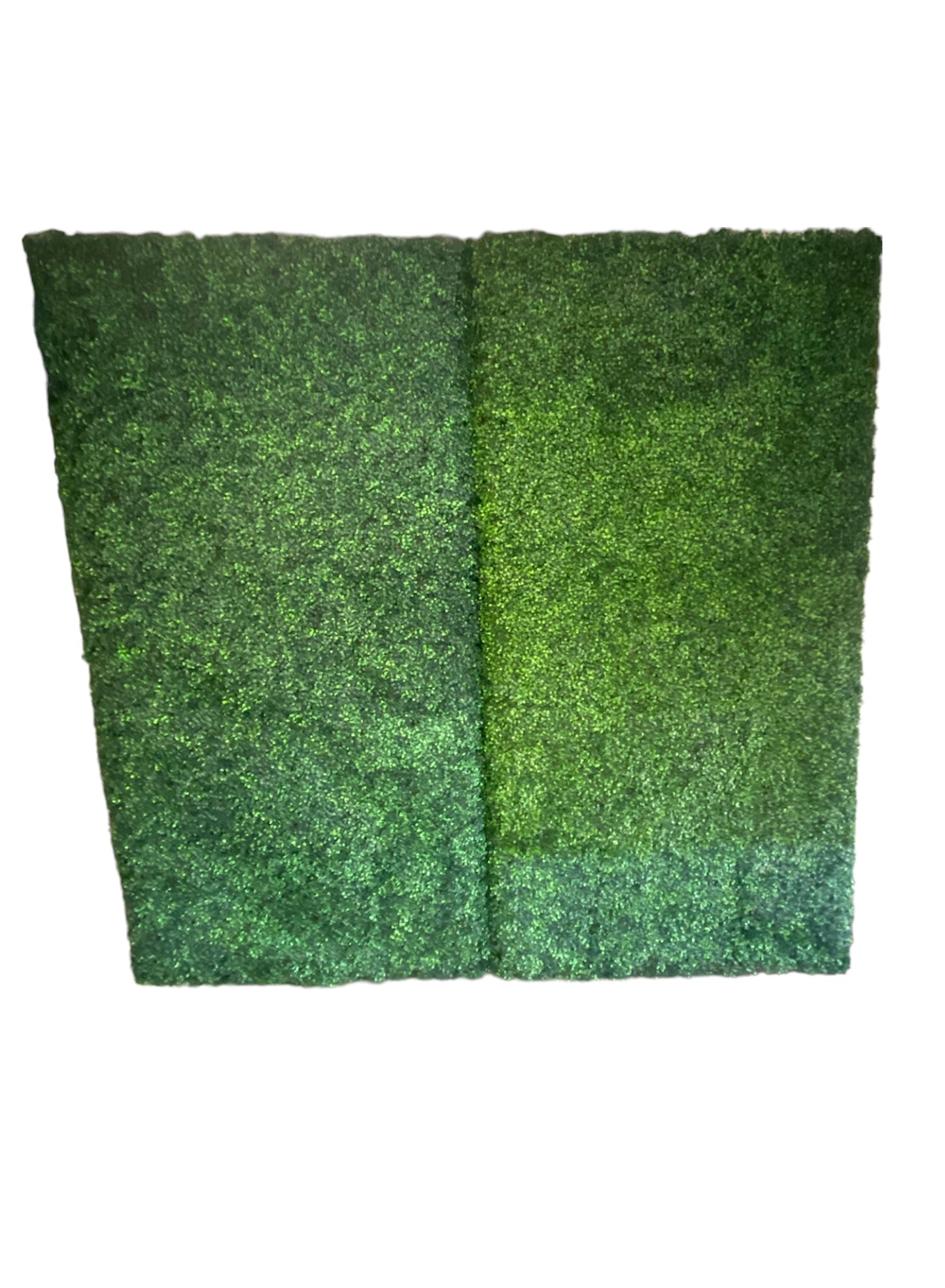 Greenery Wall - 8x8 Rental